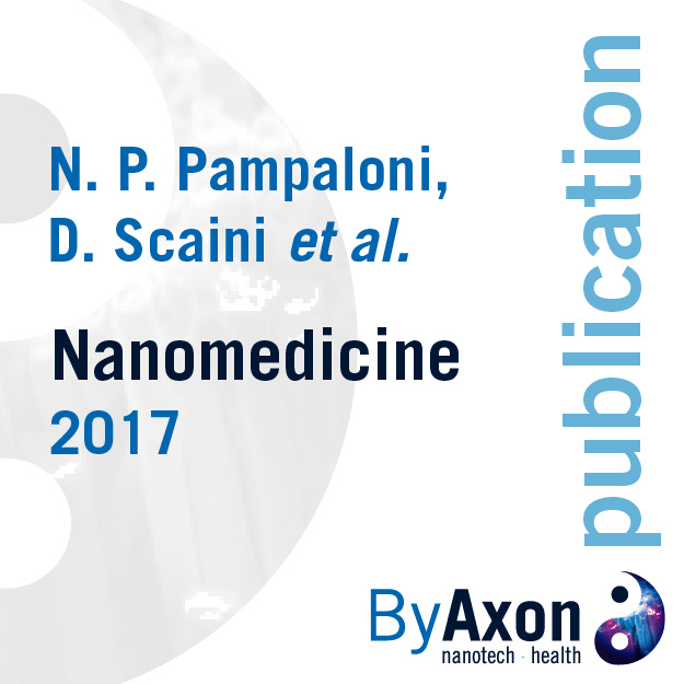 nanomedicine2017